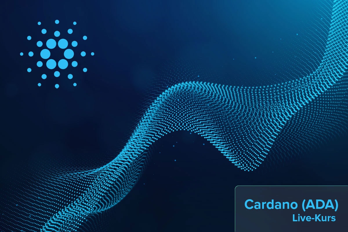 Cardano Kurs Live